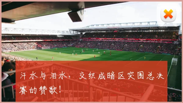汗水与泪水，交织成暗区突围总决赛的赞歌！