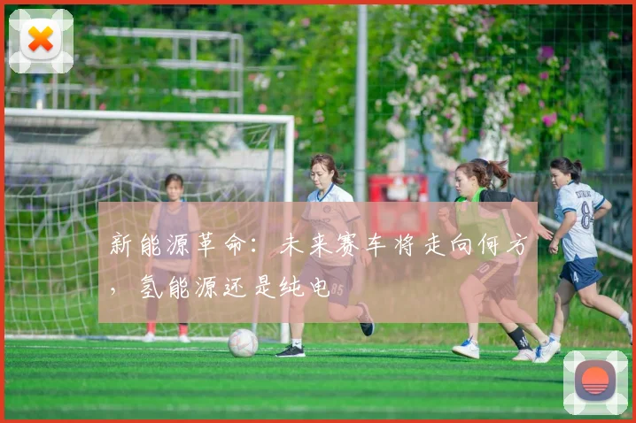 新能源革命：未来赛车将走向何方，氢能源还是纯电